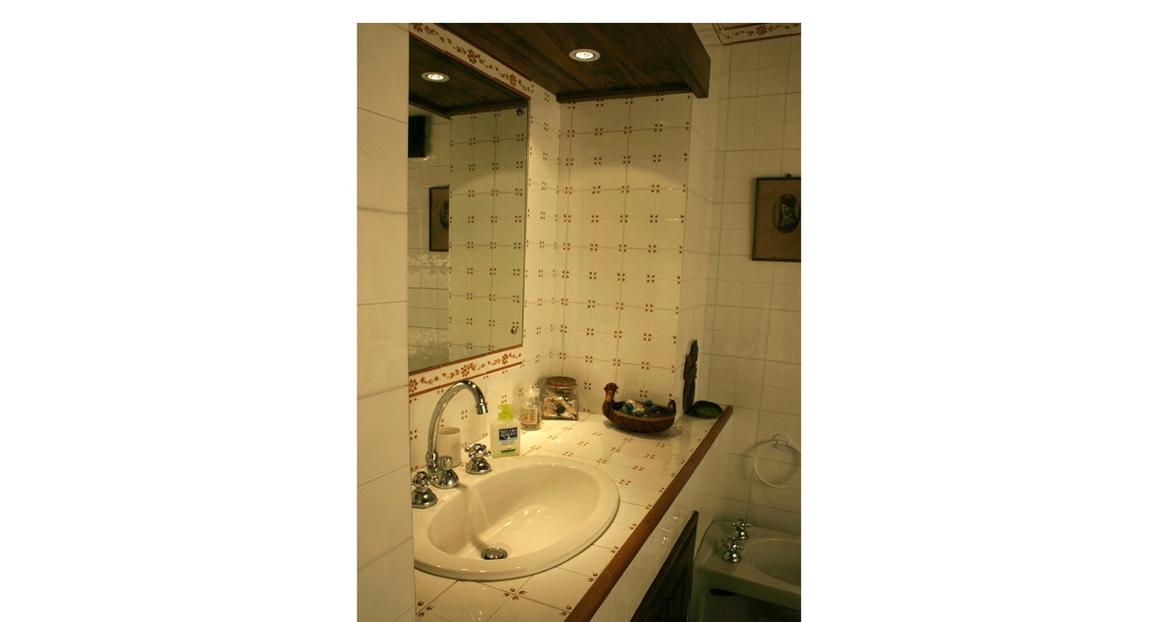 Guest bathroom