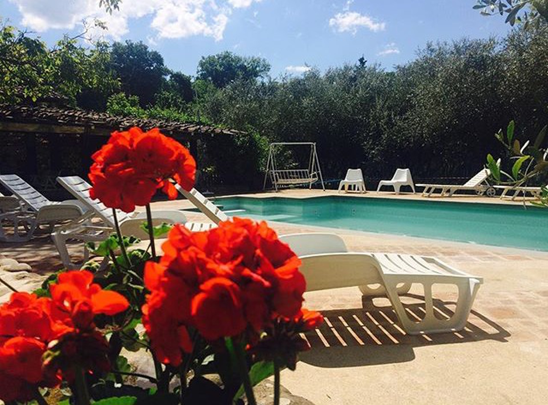 Swimming pool flowers