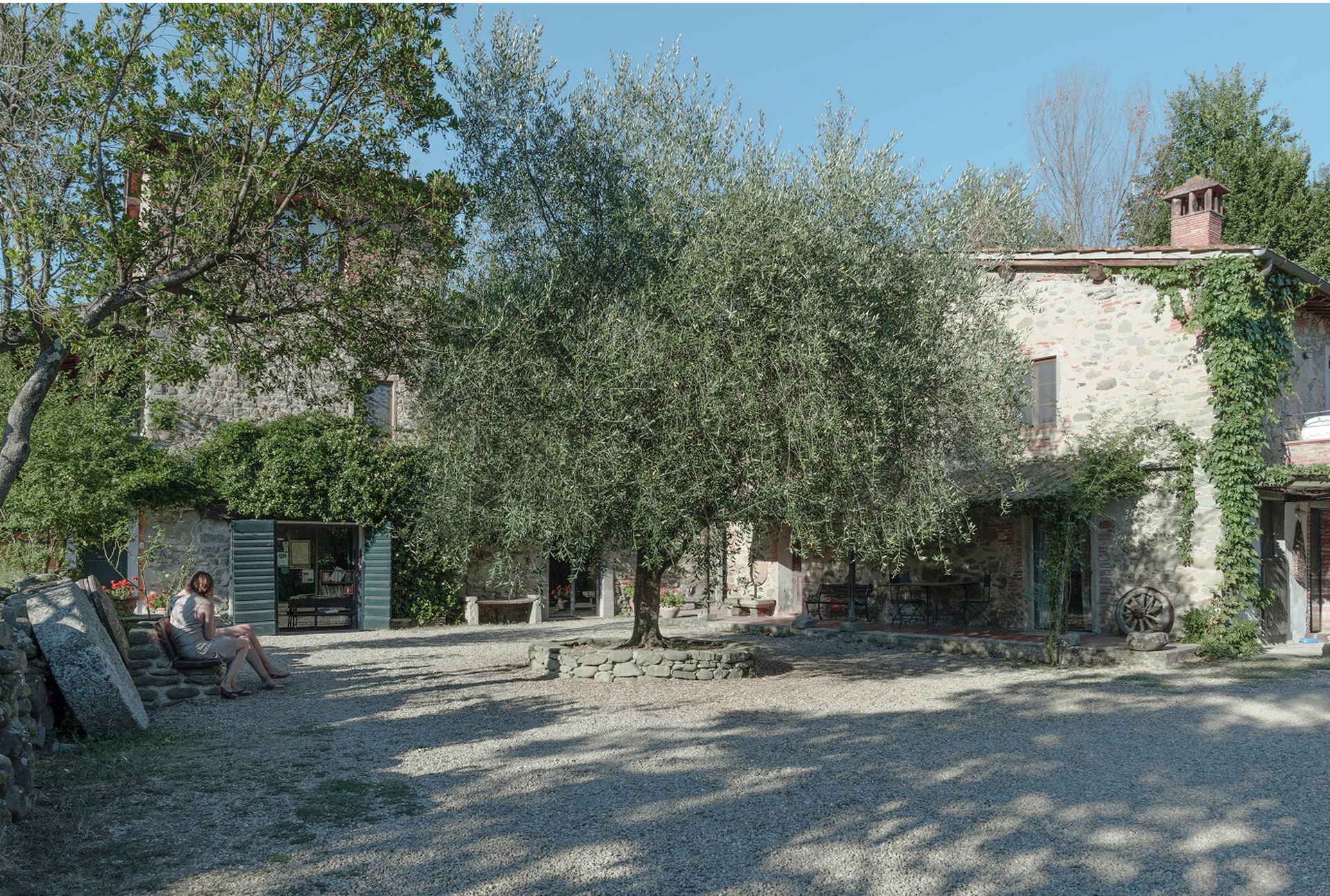 Molino's yard