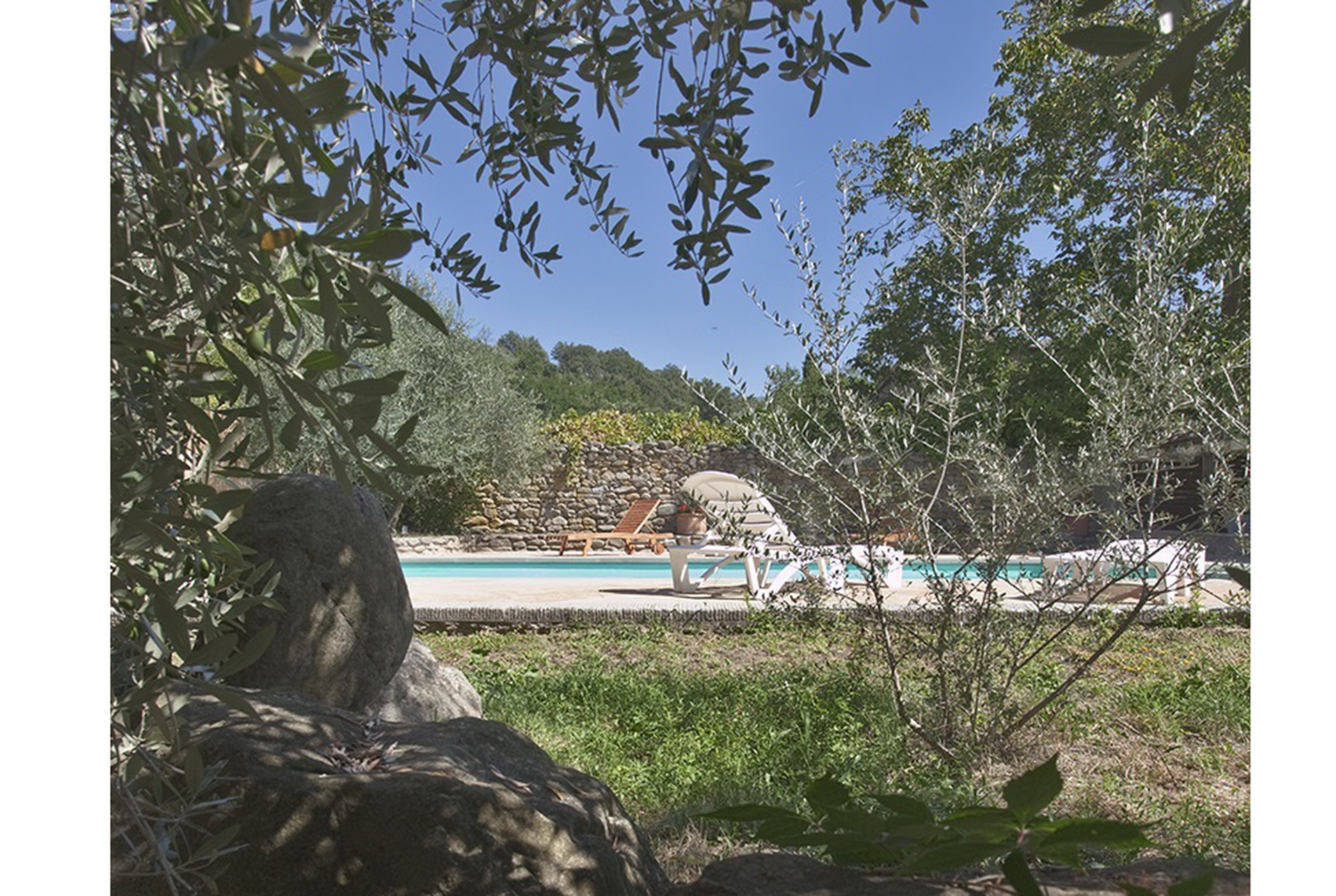 Swimming pool from Olive grove