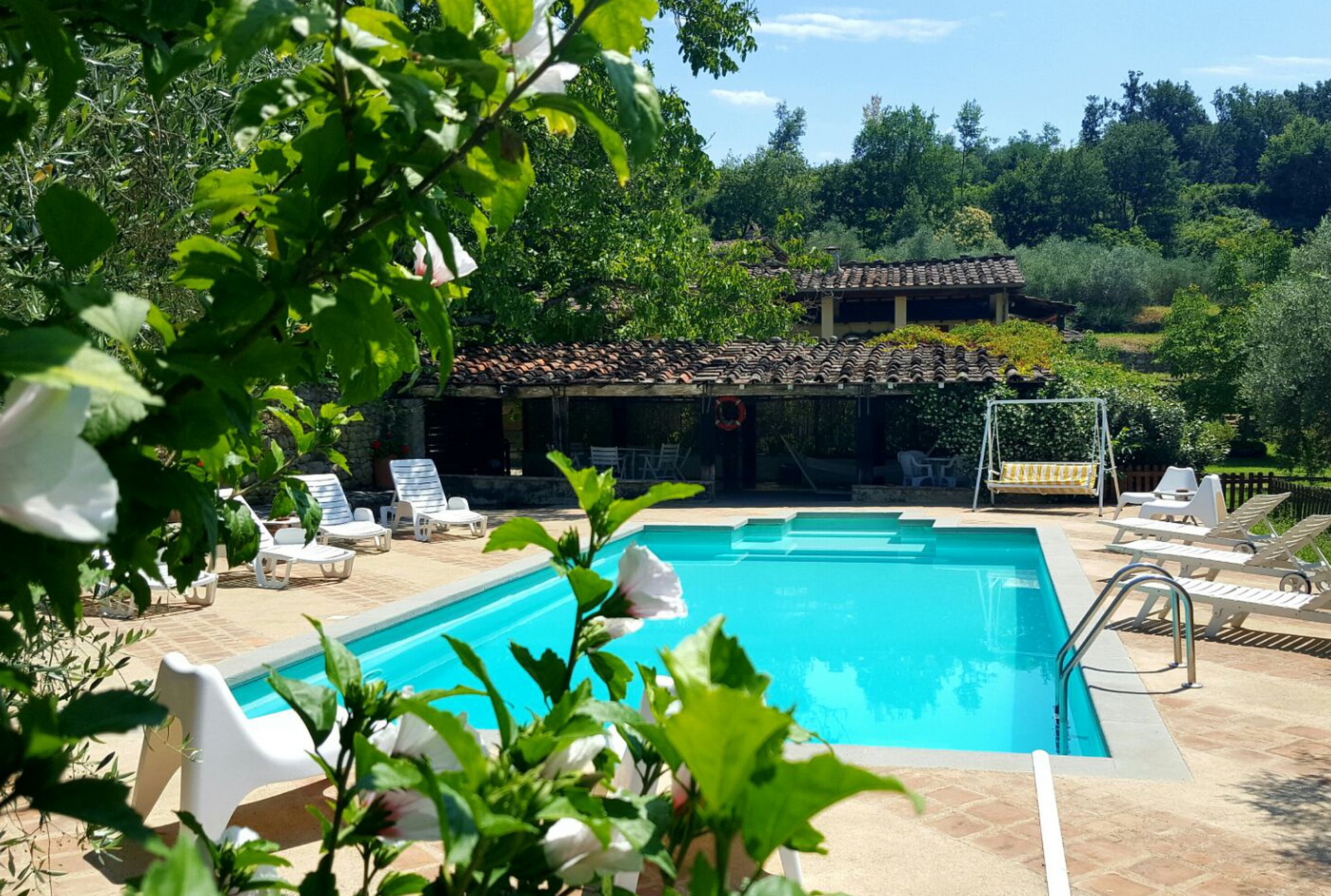 Swimming pool white flowers